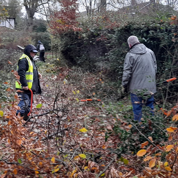 volunteers clearing hedge, Sheepwash Pond Prestwood