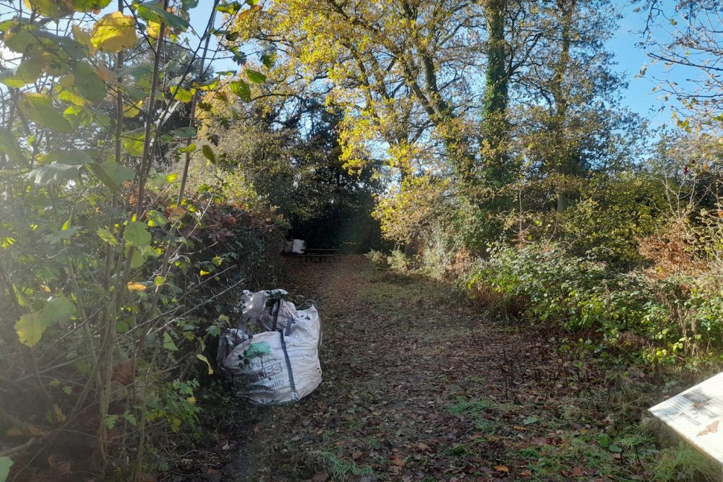 entrance path Sheepwash Pond after autumn tidy up November 2025