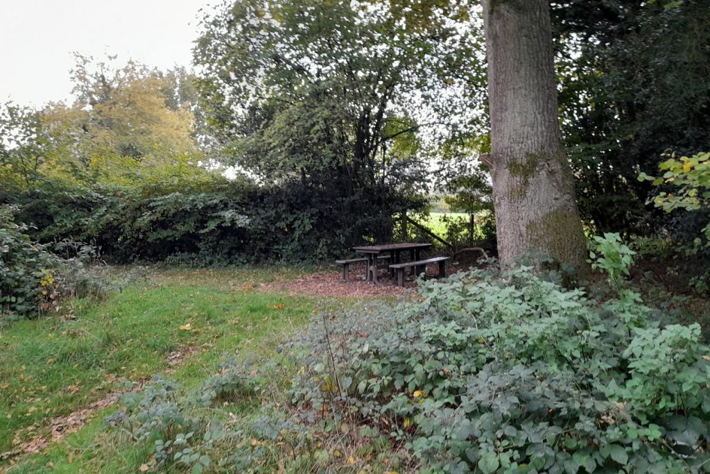 picnic area, sheepwash pond prestwood