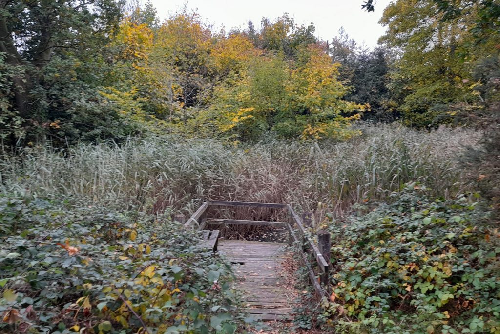 sheepwash pond, prestwood