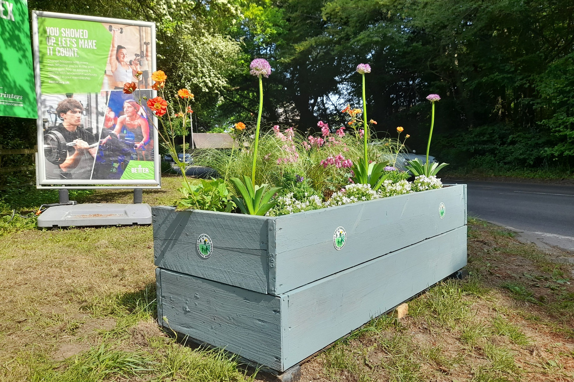 New Planters on Honor End Lane