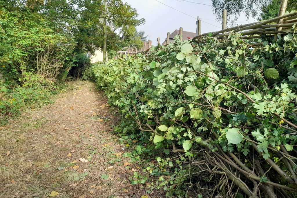 Boundary fence Sheepwash Pond Prestwood from pond side after relaying October 2026
