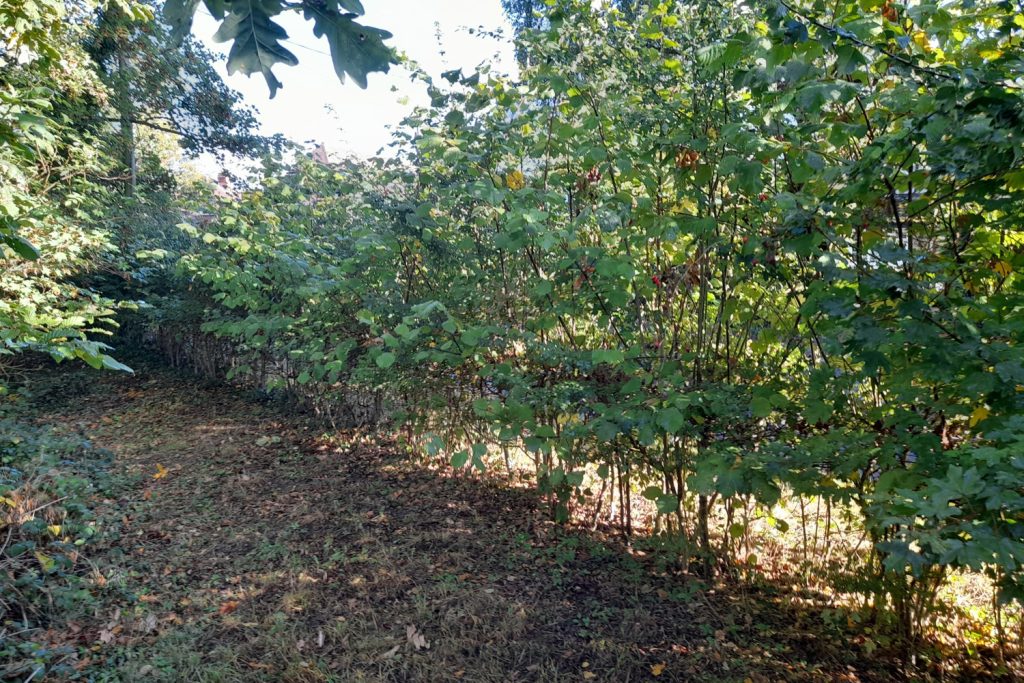Boundary fence Sheepwash Pond Prestwood viewed from pond side before relaying October 2026