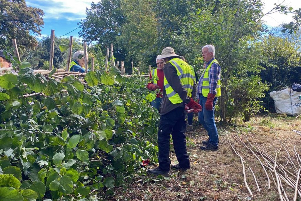 Volunteers from Chiltern Society Rough around the Hedges team at work Sheepwash Pond Prestwood October 2026