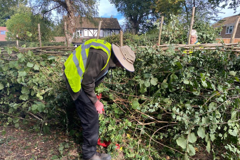 Volunteer from Chiltern Society Rough around the Hedges team at work Sheepwash Pond Prestwood October 2026